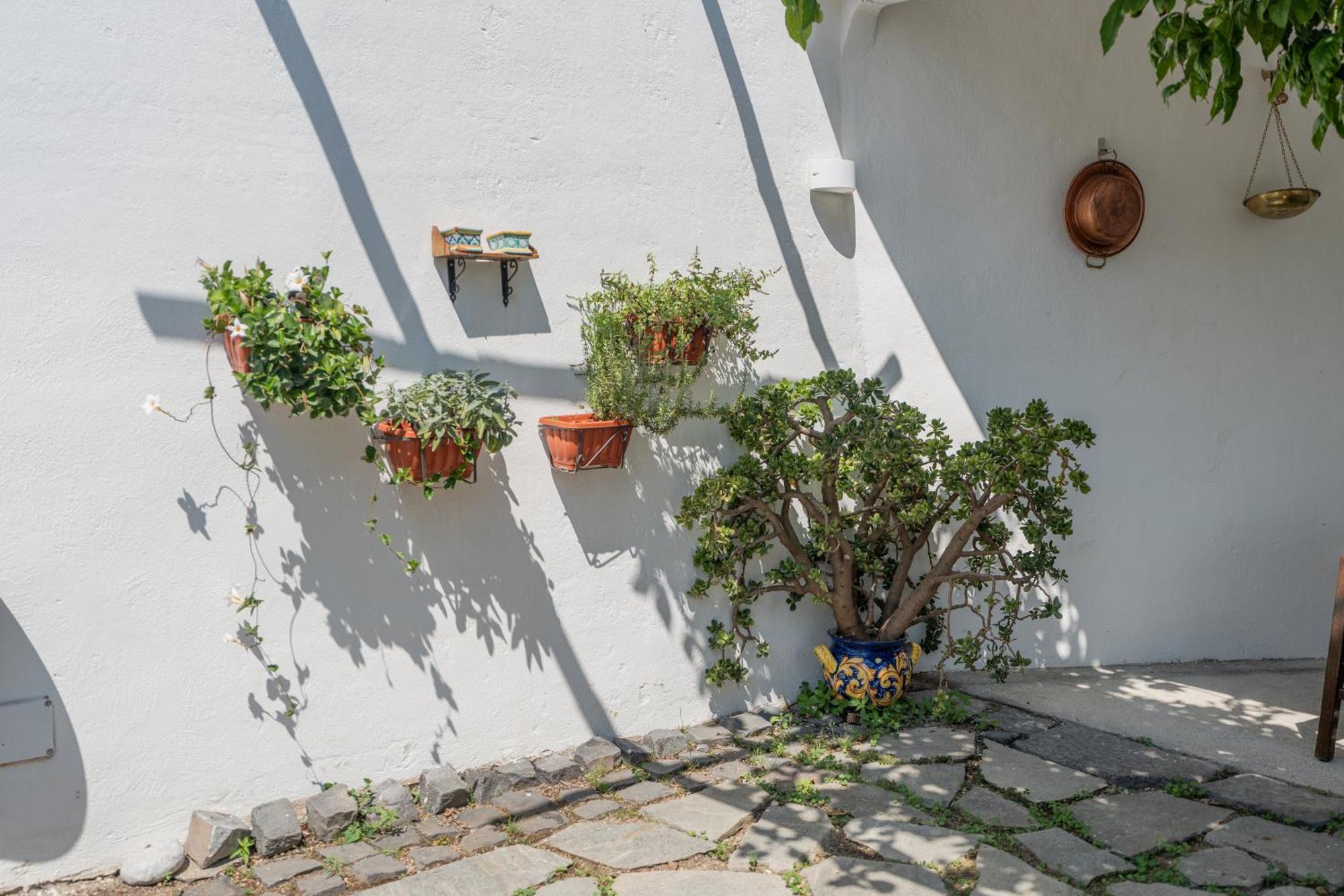 Residenza Sant'Angelo - Art Apartment ミノーリ エクステリア 写真